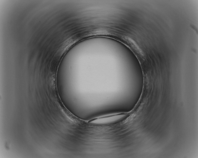 X0000097471225200803141906
