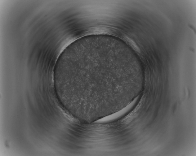 X0000097471226200803141906