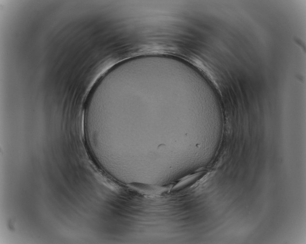 X0000097471227200803141906