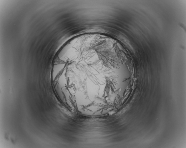 X0000097471228200803141906