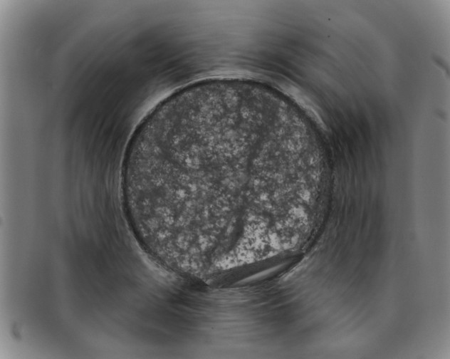 X0000097471229200803141906