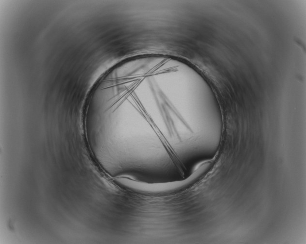 X0000097471230200803141906