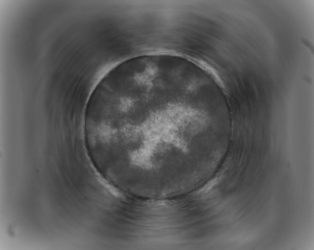 X0000097471231200803141906