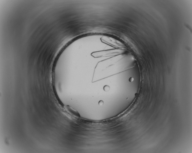 X0000097471232200803141906