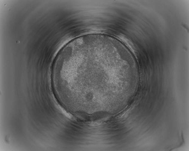 X0000097471235200803141906