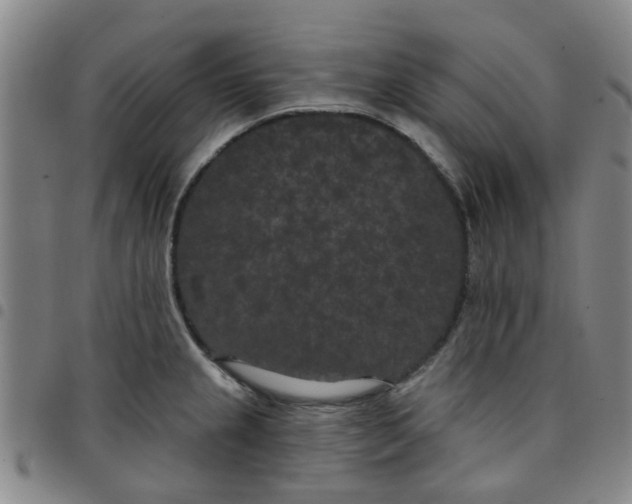 X0000097471237200803141906