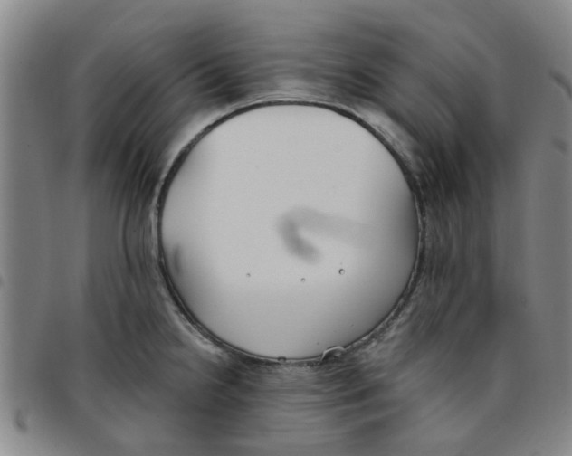 X0000097471238200803141906