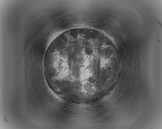 X0000097471239200803141906