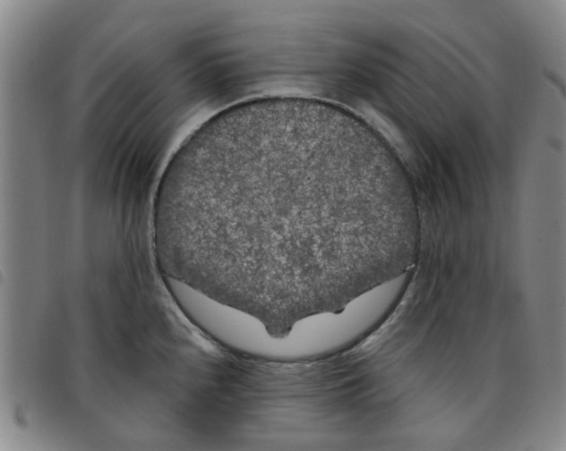 X0000097471240200803141906