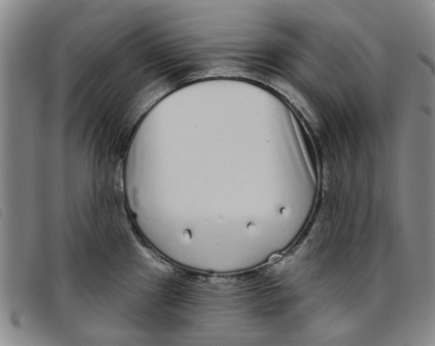 X0000097471241200803141906