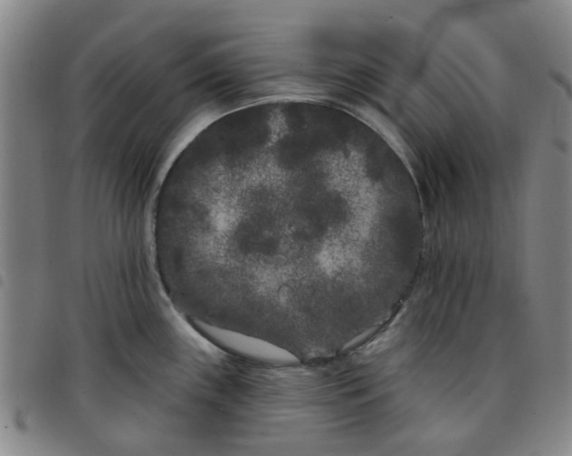 X0000097471243200803141906