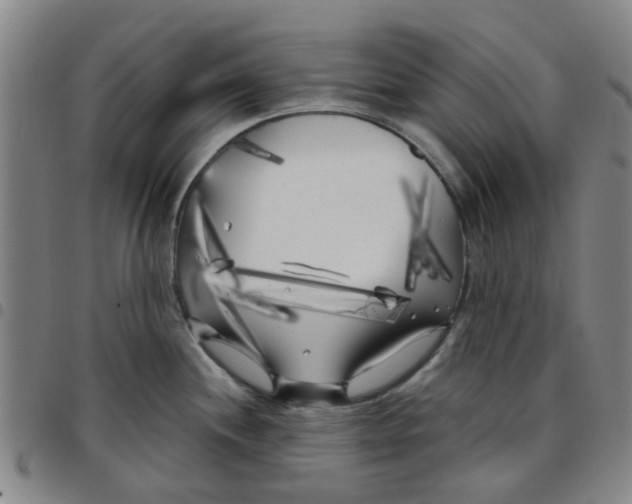 X0000097471244200803141906
