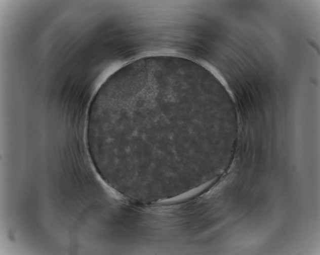 X0000097471245200803141906