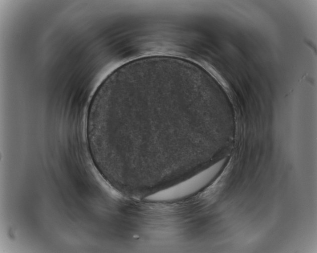 X0000097471246200803141906