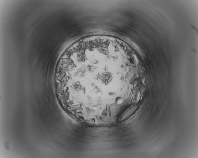 X0000097471247200803141906
