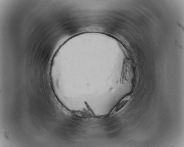 X0000097471248200803141906