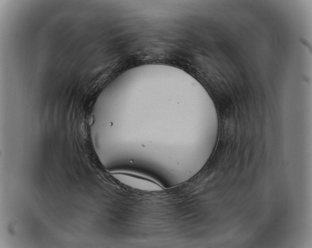 X0000097471250200803141906
