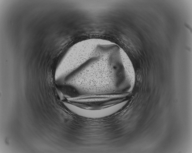 X0000097471252200803141906