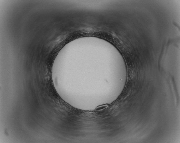 X0000097471253200803141906