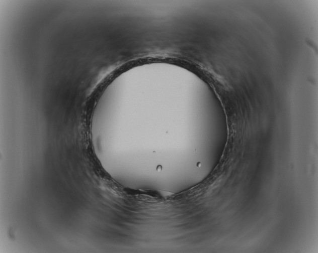 X0000097471256200803141905