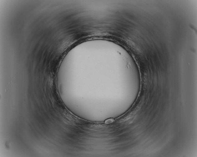 X0000097471257200803141905
