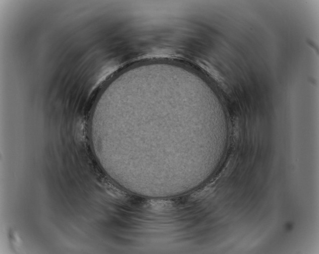 X0000097471258200803141905
