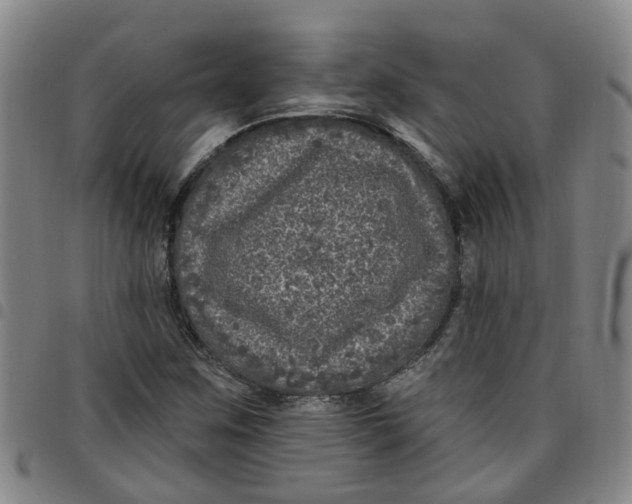 X0000097471259200803141905