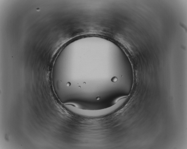 X0000097471260200803141905