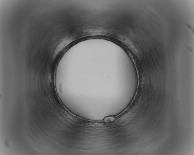 X0000097471261200803141905