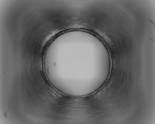 X0000097471262200803141905
