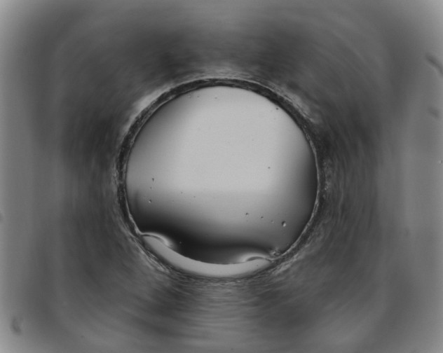 X0000097471264200803141905
