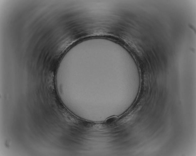 X0000097471265200803141905
