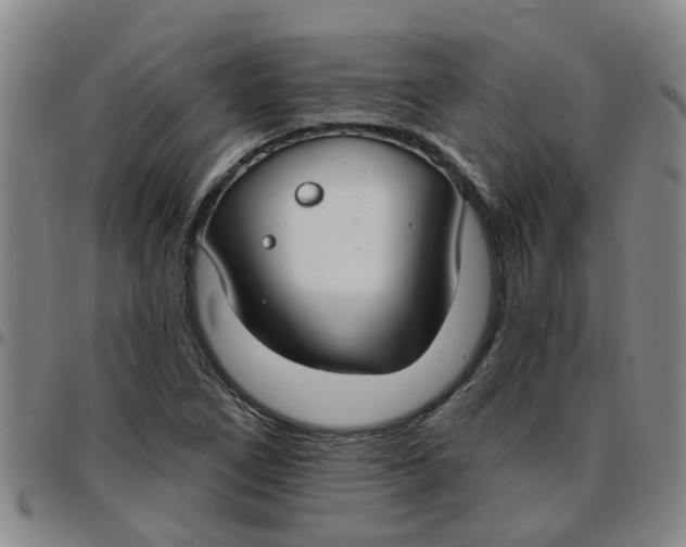 X0000097471266200803141905