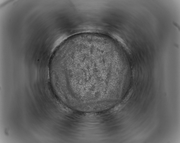 X0000097471267200803141905