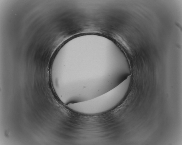 X0000097471268200803141905