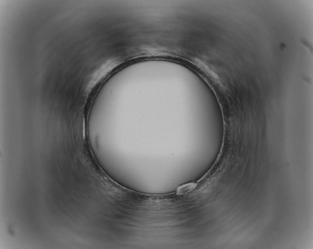 X0000097471269200803141905