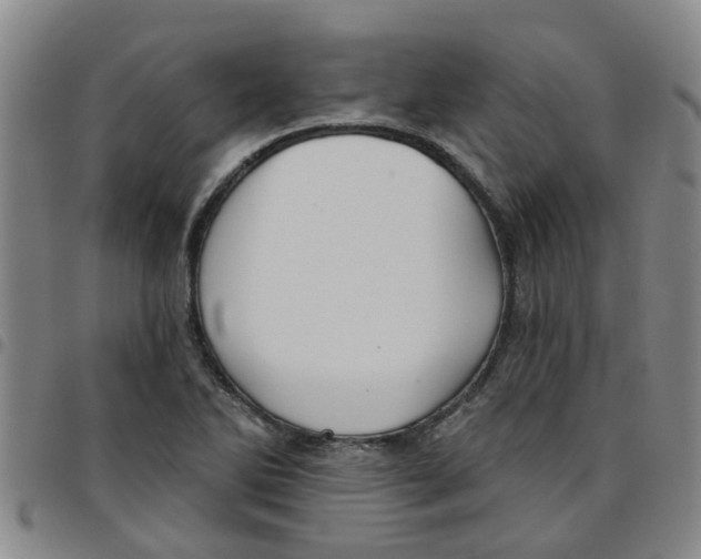 X0000097471270200803141905