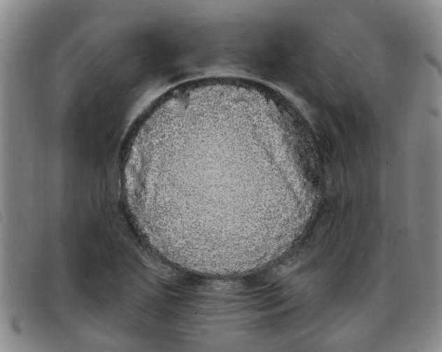 X0000097471271200803141905
