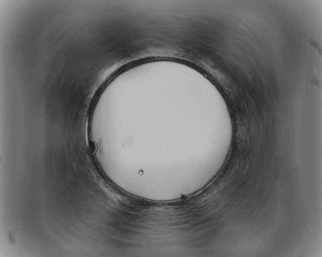 X0000097471272200803141905