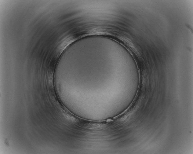 X0000097471273200803141905