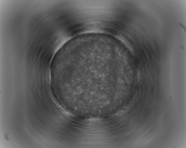 X0000097471274200803141905