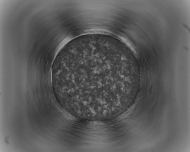 X0000097471275200803141905