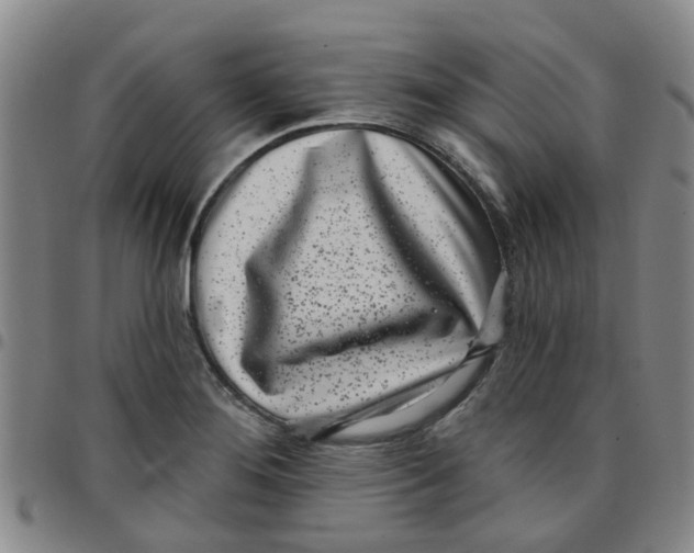 X0000097471276200803141905