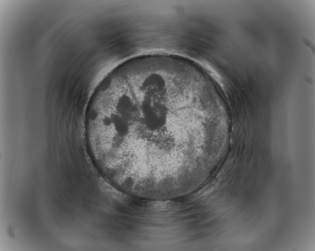 X0000097471279200803141905