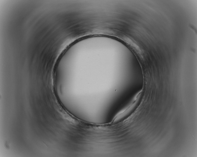 X0000097471280200803141905