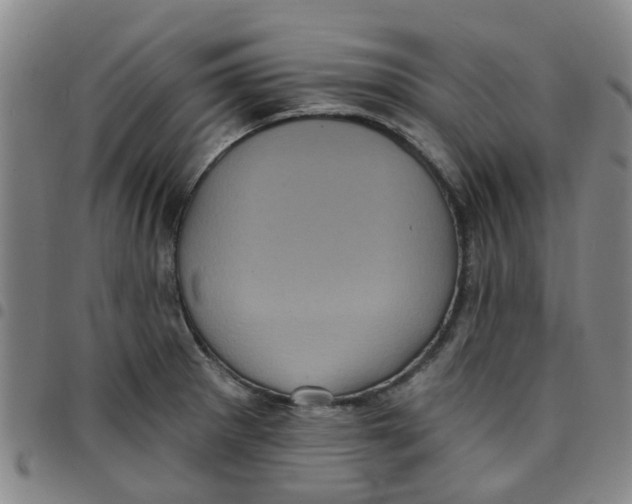 X0000097471281200803141905
