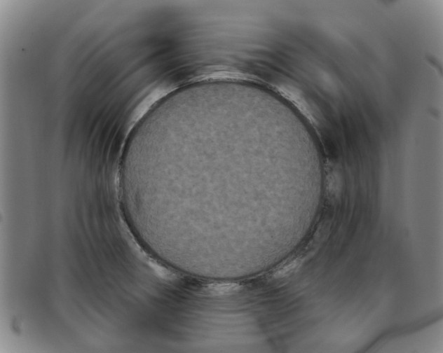 X0000097471282200803141905