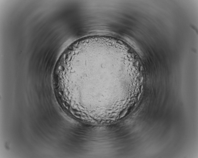 X0000097471283200803141905