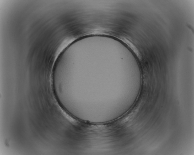 X0000097471285200803141905