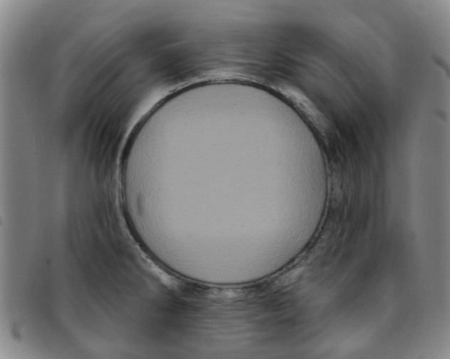 X0000097471286200803141905